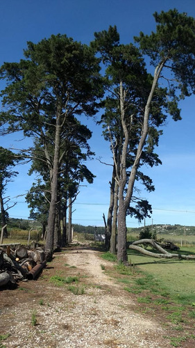 Campo En Venta Provincia De Buenos Aires Ruta 226