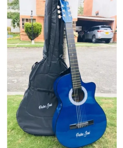 Guitarra Acustica Edicion Especial+ Forro+ Metodo + Limpiado