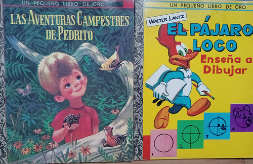 Revista Un Pequeño Libro De Oro Y Alegrías De Walt Disney 4 (Usado)