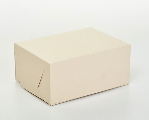 Caja Multiuso Mediana 20x15x9 Cm (x50u) Porciones Lunch 019