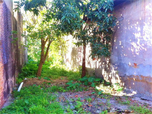 Imagem 7 de 17 de Terreno A Venda Na Parada Inglesa - 1.410 M2 De Área - Próx. Metrô - Reo168765