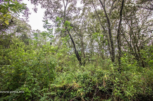 Terreno En Venta Reserva De Los Encinos, Teuchitlán