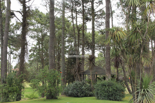 Casa En Alquiler De Verano - Vista Al Golf De Pinamar