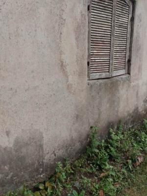 Chácara Com 2 Mil Metros E Árvore Frutífera Em Itanhaém Sp
