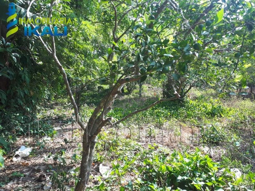 Imagen 6 de 8 de Terreno En Venta Juana Moza
