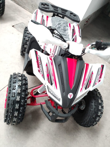 Imagen 6 de 20 de Cuatrimoto Coyote 125cc Automatica 0 Klm 2023