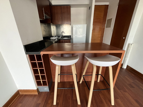 Arriendo Departamento 1 Dormitorio Providencia