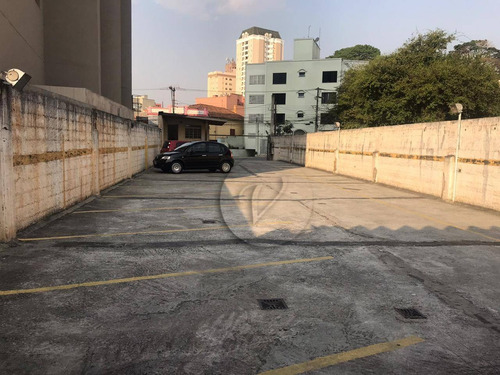 Imagem 3 de 17 de Terreno Para Alugar, 800 M² Por R$ 8.000,00/mês - Vila Assunção - Santo André/sp - Te0456