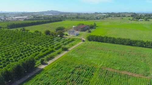 Imagen 16 de 21 de Venta Campo 11 Has Rincon Del Cerro Montevideo