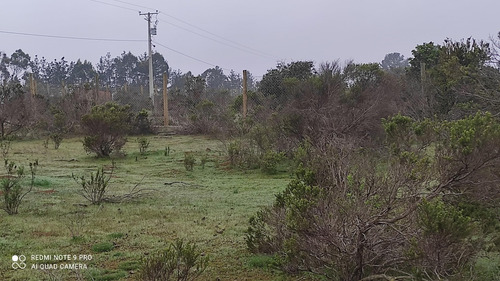 Imagen 5 de 13 de Terreno Con Hermosa Vista A La Bahía Algarrobo