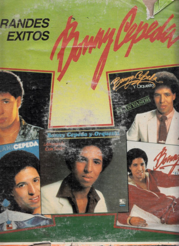 Bonny Cepeda. Mis Grandes Exitos Lp Vinil Original Usad Qqa.