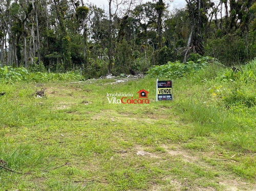 Imagem 2 de 14 de Terreno No Praia Grande Em Matinhos - Te-0142-1