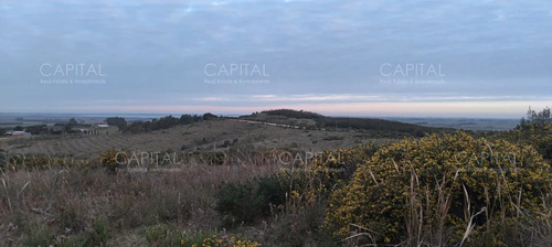 Campo Ganadero Forestal