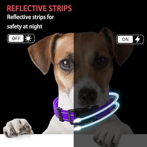 Collar Canino Reflectante Maiaiu Con Hebilla De Bloqueo
