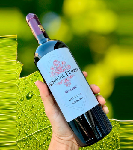 Vino Achaval Ferrer Mendoza Malbec X6u 750ml
