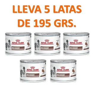 Royal Canin Recovery Humedo Perro Adulto 5 Latas De 195 Grs