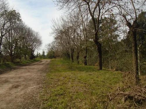 Imagen 3 de 4 de Terreno - Zelaya