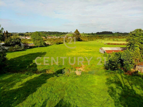 Terreno Para Proyecto Residencial, 5 Hectáreas