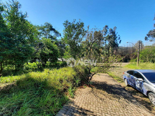 Imagem 3 de 9 de Terreno À Venda, 300 M² Por R$ 170.000,00 - Encosta Do Sol - Estância Velha/rs - Te1128