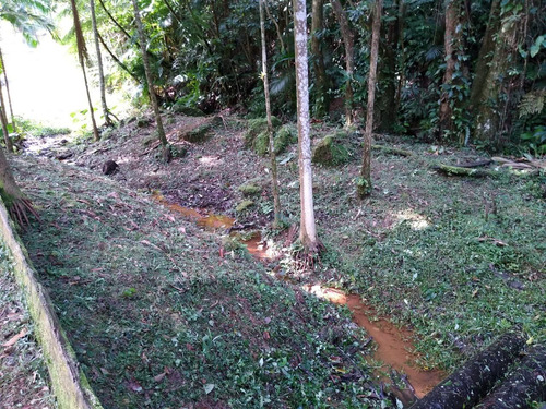 Imagem 16 de 30 de Sítio Ideal Para Lazer E Moradia Á Apenas 700 Metros Da Rodovia, Com Belíssima Casa Sede Em Juquitiba/sp! - 05 - 33845423
