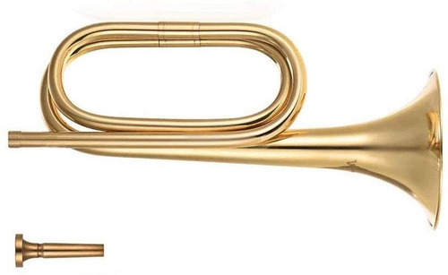 Liyafy - Caballería De Latón Para Caballería Profesional, Co