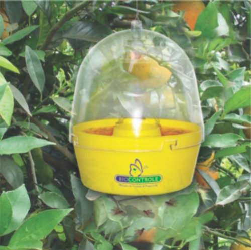Armadilha Mc Phail P/ Mosca Das Frutas Biocontrole Anastrep