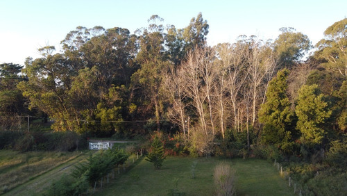 Imagen 3 de 4 de Campo En Venta En Verónica 5.28 Hectáreas
