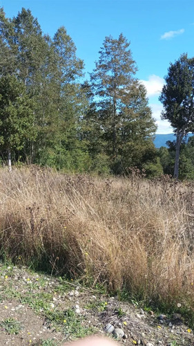 Parcela En Venta En Fresia 7.000.000m2