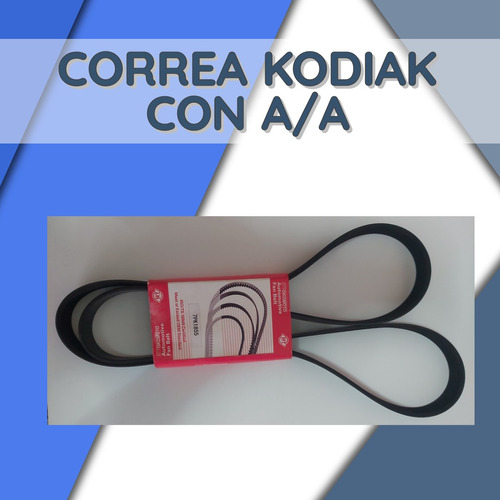 Correa Kodiak C/a.a