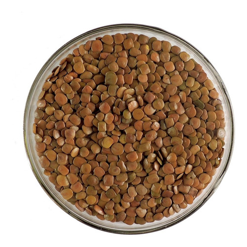 500g - Sementes Puras De Sansão Do Campo - Cerca-viva Sabiá