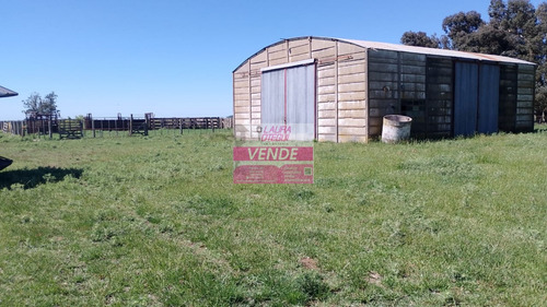 Venta Campo Mixto 130 Has Partido De Ayacucho