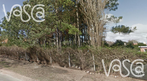 Terreno Con Amplio Galpón, Para Depósito O Proyecto Edilicio