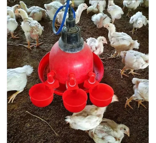 Kit Bebedouro Galinheiro 20 Unidades Prático P/ Pet Até 2 Li