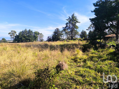 Venta Terreno 0 Ambiente La Mora