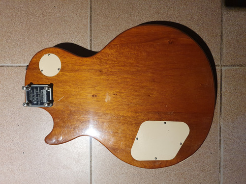 Guitarra Les Paul Ephiphohe Lp100 Diestro Ebony Palo De Rosa (Usado)