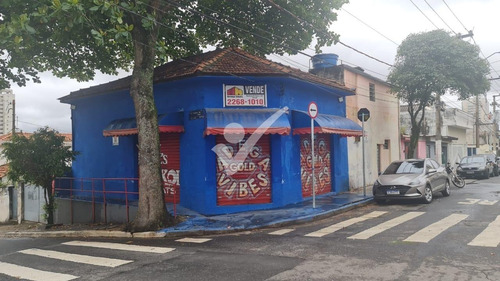 Imagem 4 de 6 de Terreno À Venda Em Vila Invernada - Te003802
