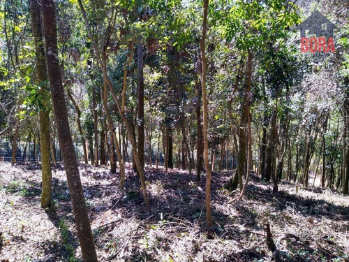Imagem 1 de 6 de Terreno À Venda, 1365 M² Por R$ 60.000 - Mato Dentro - Mairiporã/sp - Te0308