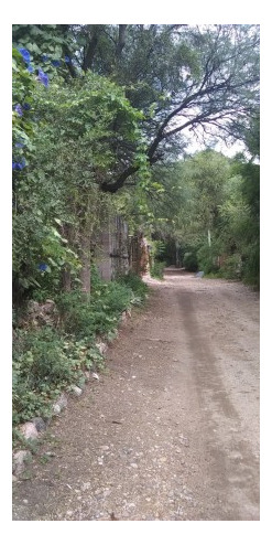 Imagen 9 de 15 de San Marcos Sierra ! 2700 Metros