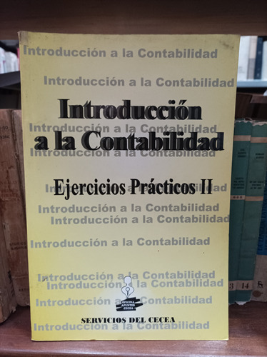 Introducción A La Contabilidad. Ejercicios Prácticos 2