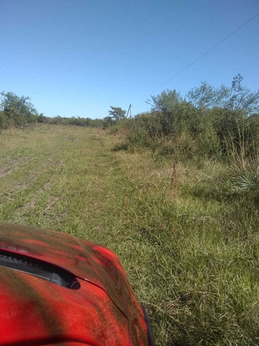 Campo Ganadero En Sauce Ctes