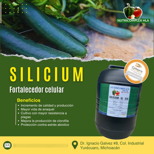 Fertilizante Silicio Líquido Nutricomplex Hla 5 Lt