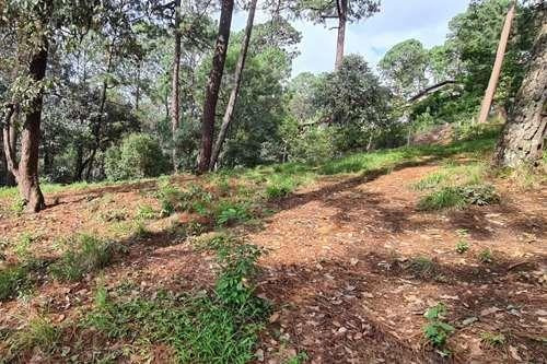 Imagen 3 de 5 de Terreno En Venta, Semiplano Excelente Para Casa De Descanso.
