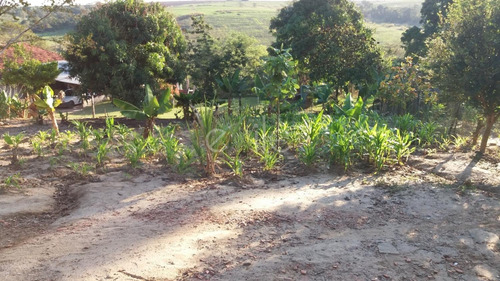 Imagem 4 de 11 de Chácara À Venda Em Chácaras Planalto - Ch008993