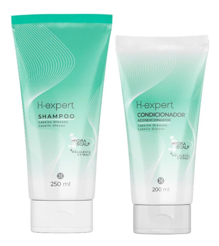 Imagem 4 de 8 de Shampoo E Condicionador H-expert Cab Oleosos + Brinde