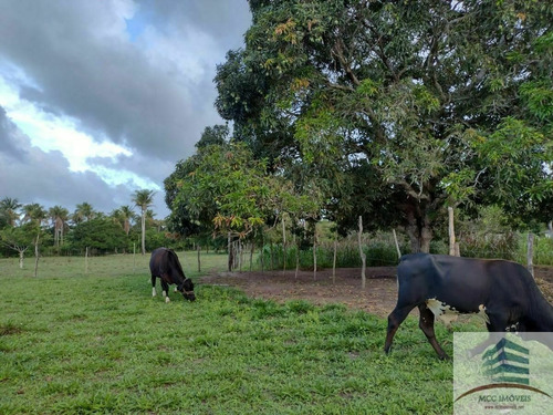 Granja A Venda Nísia Floresta