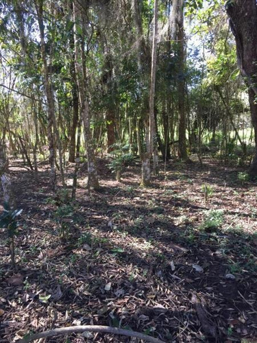 Imagem 8 de 11 de Chácara Para Venda Em Ibiúna, Centro, 3 Dormitórios, 1 Suíte, 2 Banheiros - 228_2-973128