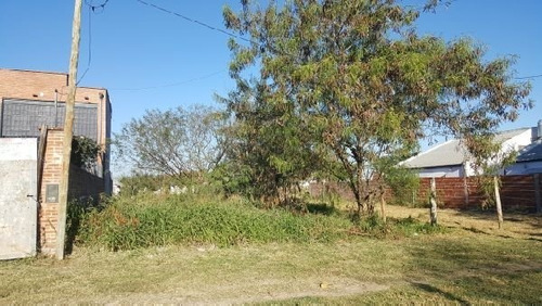 Imagen 6 de 6 de Terrenos De 297 M2 A 100 Mts Av 9 De Julio! La Fabril