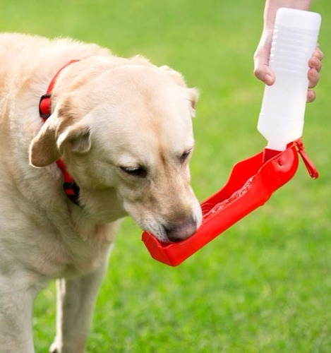 Bote De Agua Para Mascota Super Practico !!!