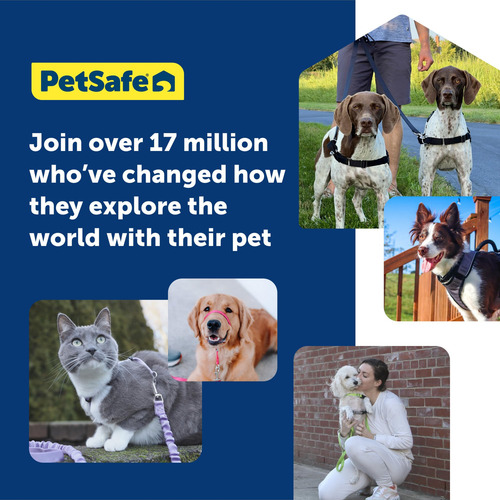 Arnés Para Perros Petsafe Easy Walk No-pull, Pequeño, Color