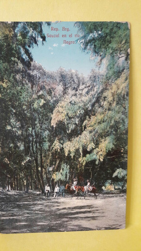 Antigua Postal De La Provincia De Río Negro Con Publicidad (Usado)
